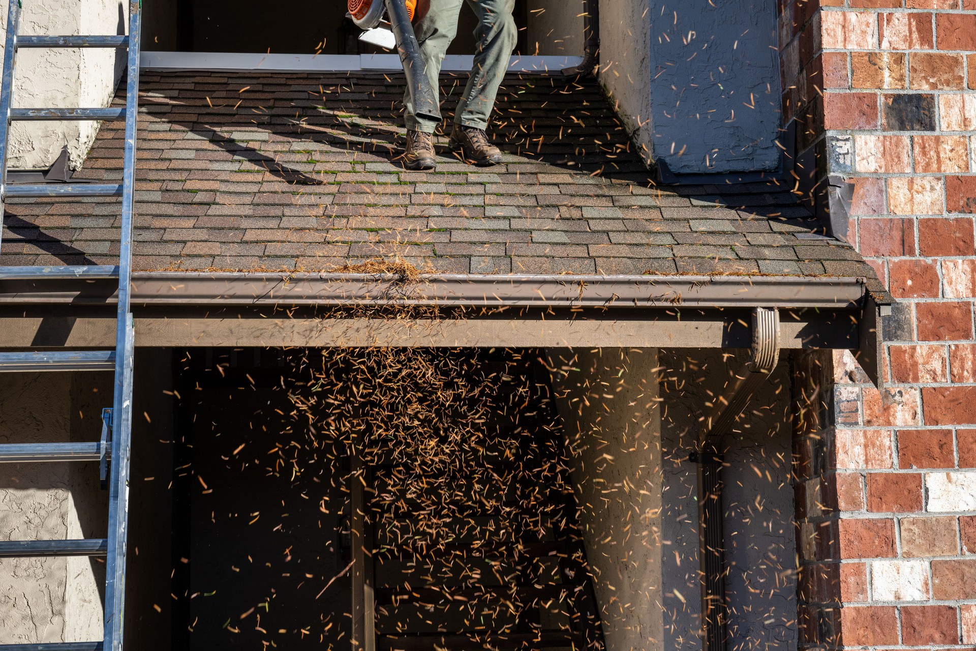 Fall pine needle debris flying in the air as a senior man on a rooftop is cleaning front entry roof shingles with a gas powered leaf blower and wearing hearing protection